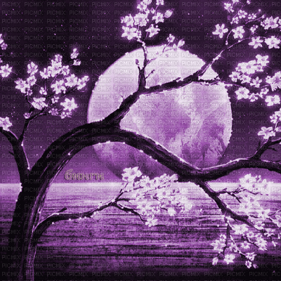 Y.A.M._Japan landscape background purple - GIF animé gratuit