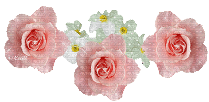 Rosen, Blumen, Flowers - Gratis animeret GIF