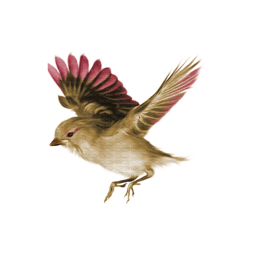 kikkapink deco scrap flying bird - kostenlos png