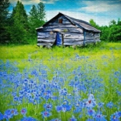 Wooden Hut and Flower Field - фрее пнг
