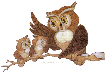 owl bp - 無料のアニメーション GIF