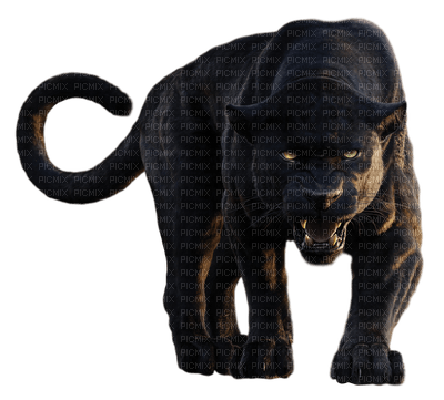 black panther bp - nemokama png