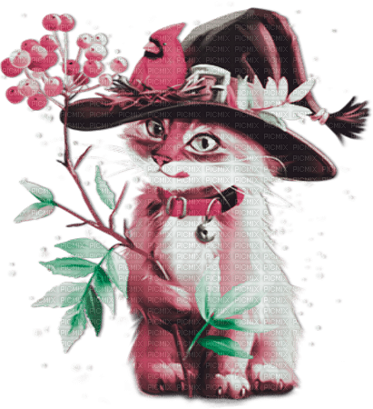 soave cat autumn halloween animals leaves deco - zadarmo png