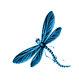 Insects, Insect, Dragonflies, Dragonfly, Blue - Jitter.Bug.Girl - Nemokamas animacinis gif