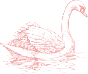 swans bp - 免费PNG