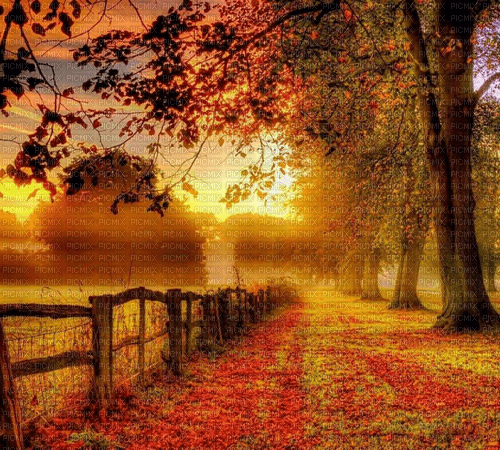 Rena Autumn Background - gratis png