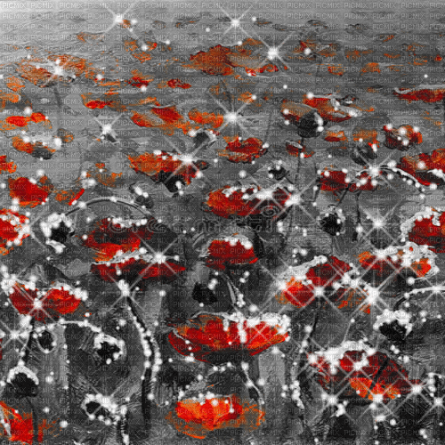 painting black red white flowers background - GIF animé gratuit