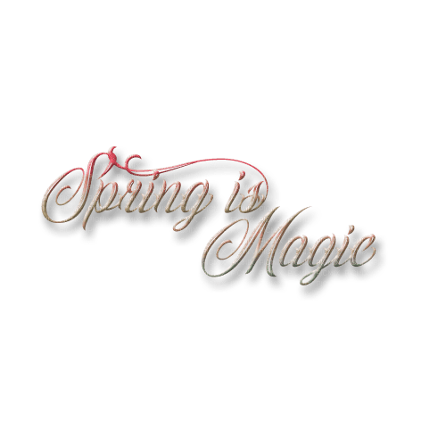 kikkapink spring is magic text pink fantasy - фрее пнг