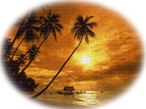 sunset background - ücretsiz png