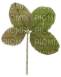 clover детелинка 1 - PNG gratuit