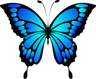 Blue Butterfly - nemokama png