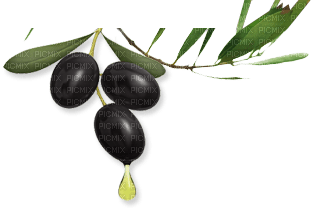 olives bp - png gratis