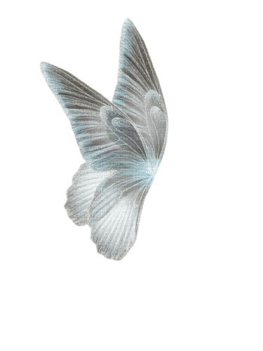 deco fantasy wings png tube kikkapink  fairy - 免费PNG