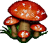 Cogumelos - GIF animado gratis