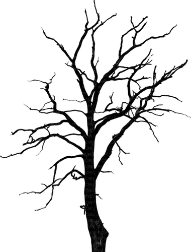 Arbre.Tree.Black.Winter.Hiver.Victoriabea - PNG gratuit