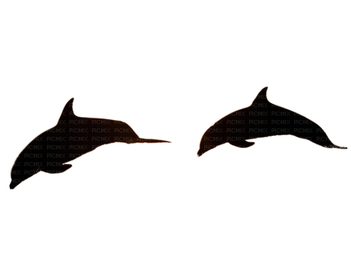 delfini - Free PNG