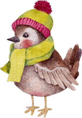 aquarelle bird - gratis png