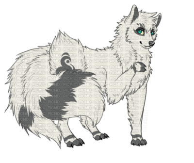 loup ( - 免费PNG