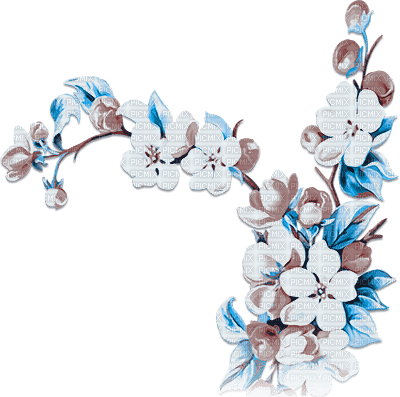 soave deco branch spring flowers fruit apple blue - фрее пнг