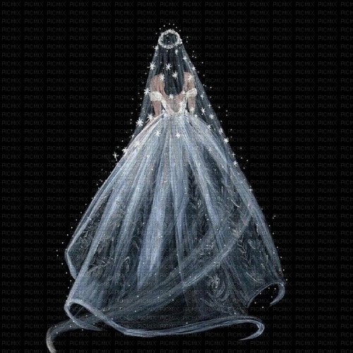 background-the bride - zdarma png