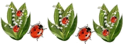 Ladybug and Flowers - GIF animate gratis