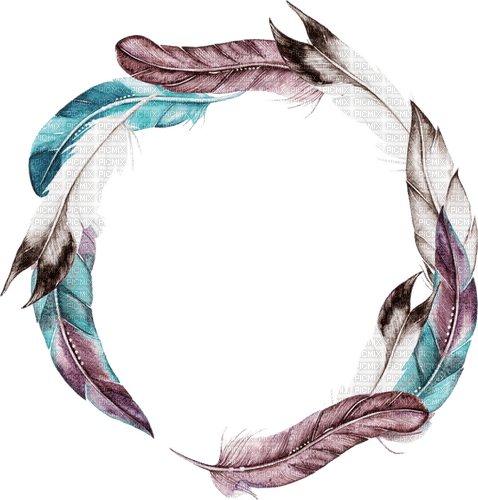 feathers Bb2 - png gratis