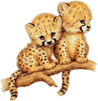 cecily-bebes leopards animes - GIF animado grátis