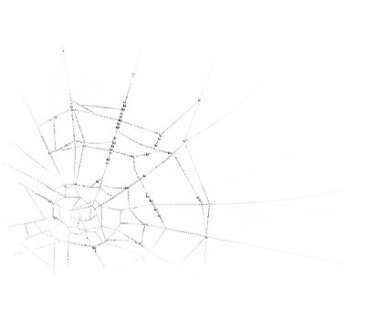 spiderweb - zdarma png
