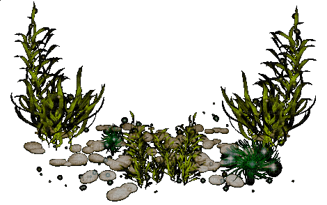 Растения - Free animated GIF