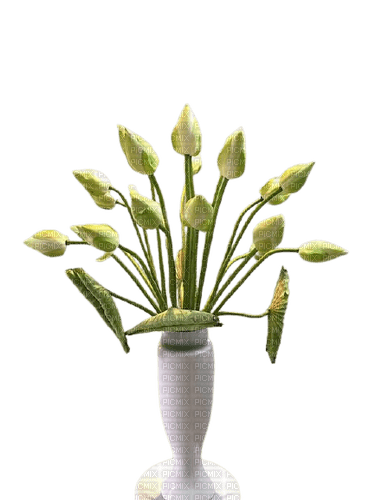 flower,lotus,vase,white - darmowe png