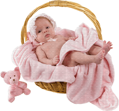 Kaz_Creations Baby Girl In Basket Pink - PNG gratuit