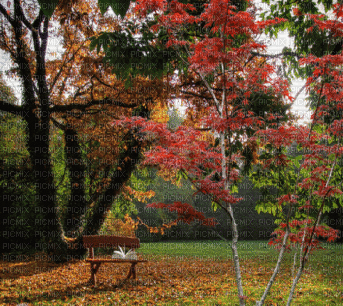 autumn - Nitsa - Δωρεάν κινούμενο GIF