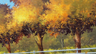 fond gif autumn automne - Besplatni animirani GIF