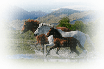 Kaz_Creations Paysage Scenery Horses Horse - безплатен png