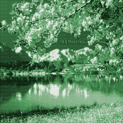 Y.A.M._Landscape green - Zdarma animovaný GIF