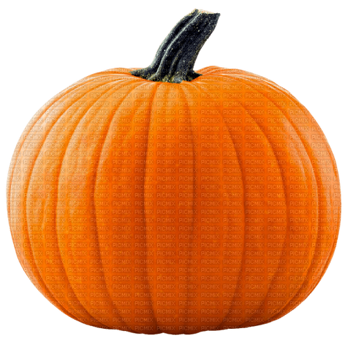 Pumpkin.Orange - besplatni png