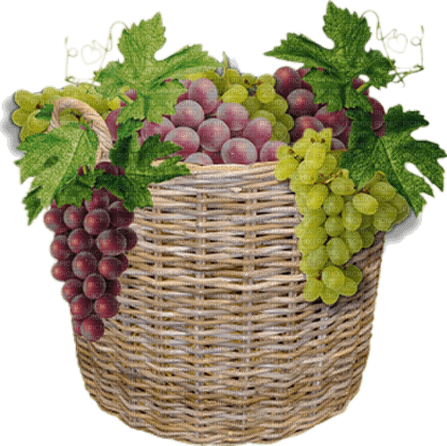 Корзина с виноградом - безплатен png