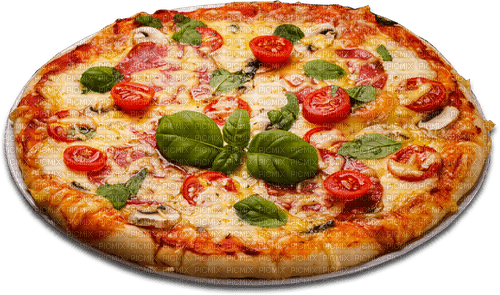 pizza 🍕🍕 - png grátis