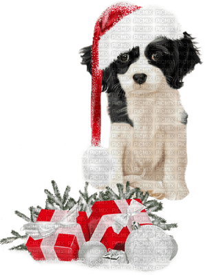 Kaz_Creations Dogs Dog Pup 🐶Christmas - PNG gratuit