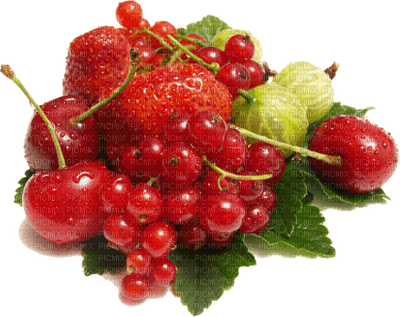 fruta - ücretsiz png