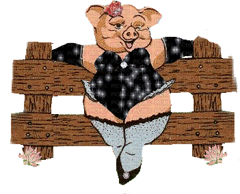 Schwein - 無料のアニメーション GIF