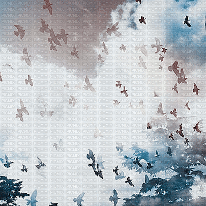 soave background animated  clouds bird  brown blue - Free animated GIF