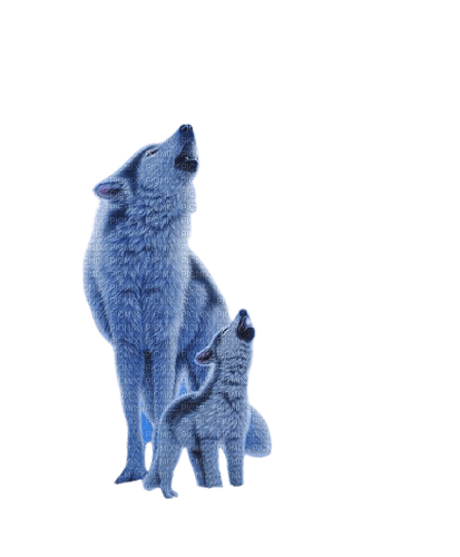 white wolves - darmowe png