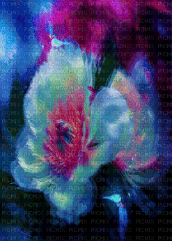 Flowers - GIF เคลื่อนไหวฟรี
