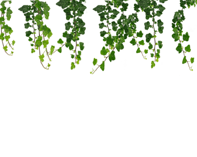 Kaz_Creations Leaves Leafs Hanging - Free PNG