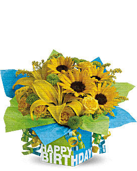 Kaz_Creations  Flowers Vase Plant Happy Birthday - фрее пнг