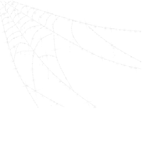 spiderweb web spider kikkapink - PNG gratuit