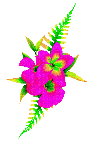 Animated.Flowers.Pink.Green - By KittyKatLuv65 - Δωρεάν κινούμενο GIF