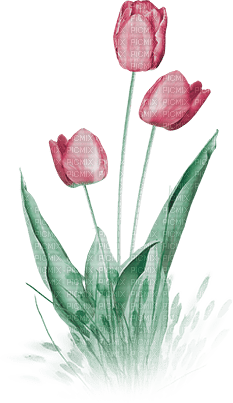 soave deco flowers garden spring tulips grass - besplatni png