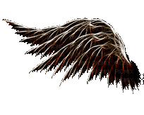 крылья - Nemokamas animacinis gif